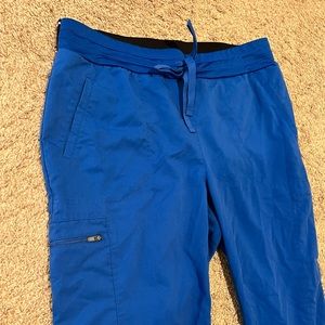 Greys Anatomy Royal Blue Scrub Pants